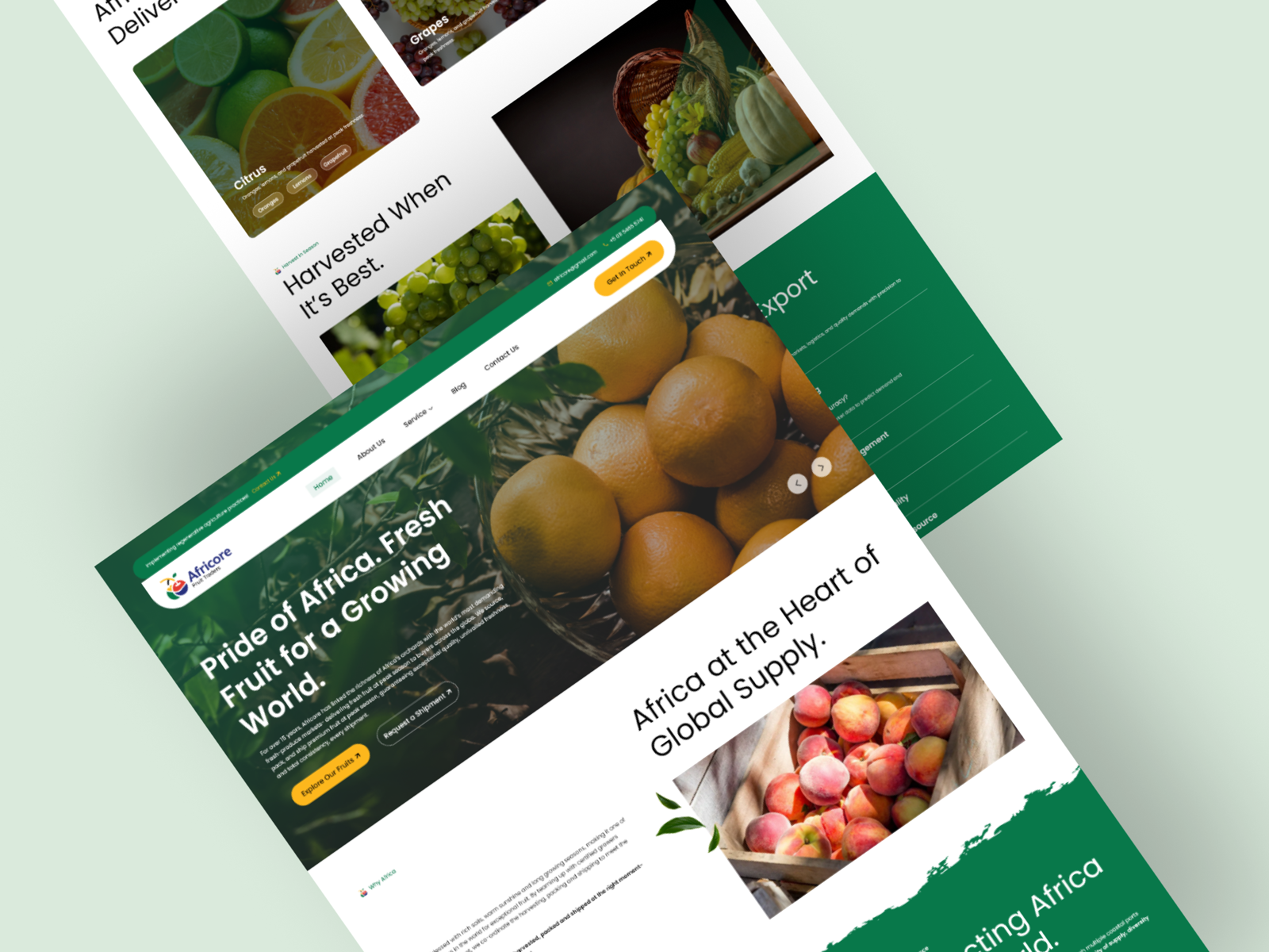 Africore — Fresh Produce Export Website UI project preview